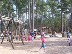 Scotland Yard - Swings